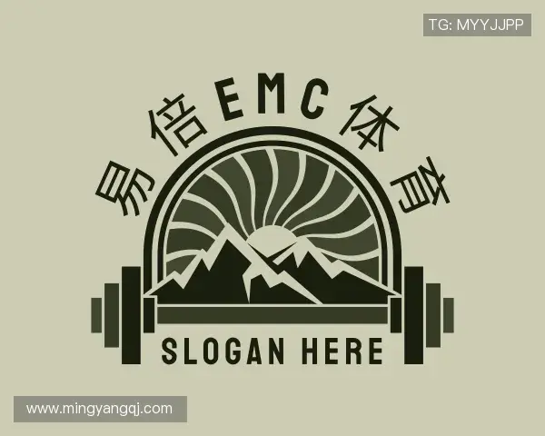了解易倍emc官网